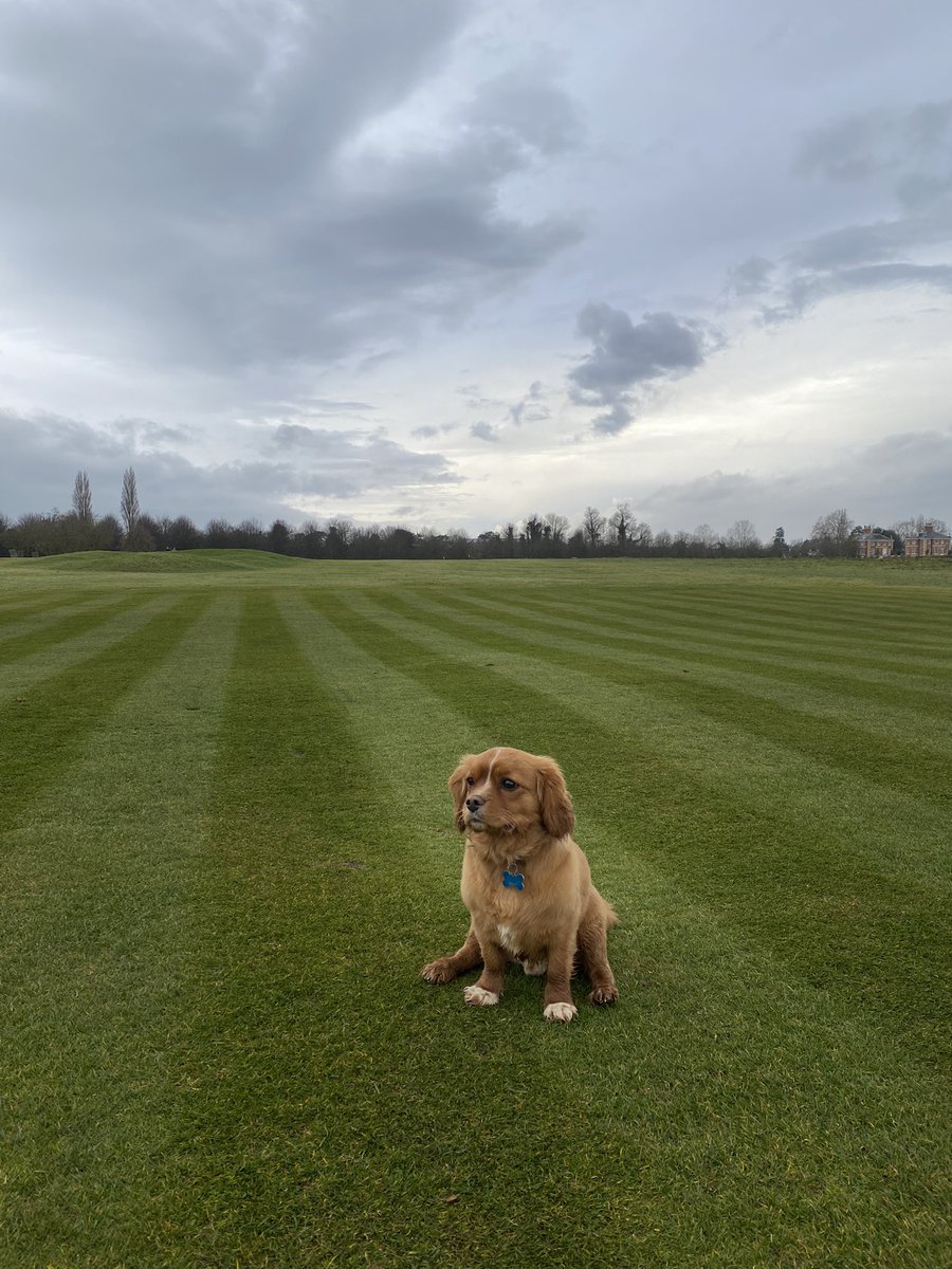 Carl Sharp tweet media