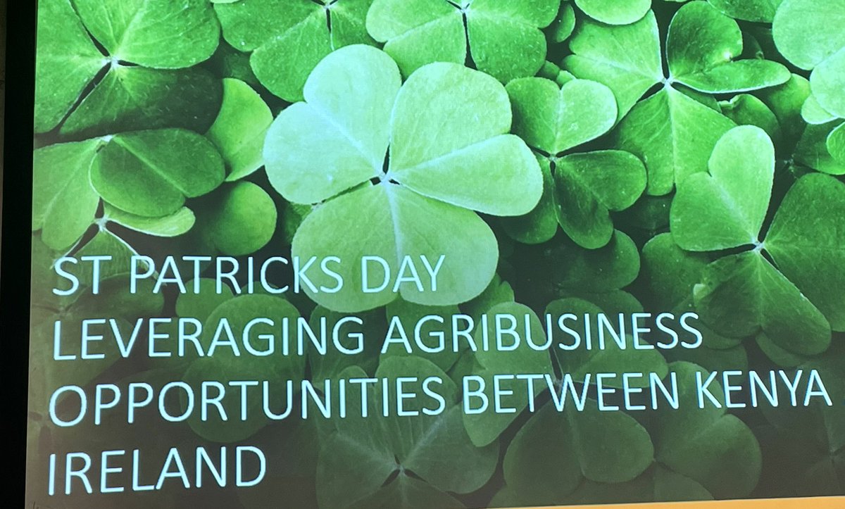 A super start to #StPatricksDay2023 in Nairobi w/ Minister @pippa_hackett speaking @BIrlKe on opportunities in agriculture for Irish & Kenyan businesses. Thanks to @KenInvest @kepro_ke @WeAreKerry & @Entirl for sharing expertise & insights.