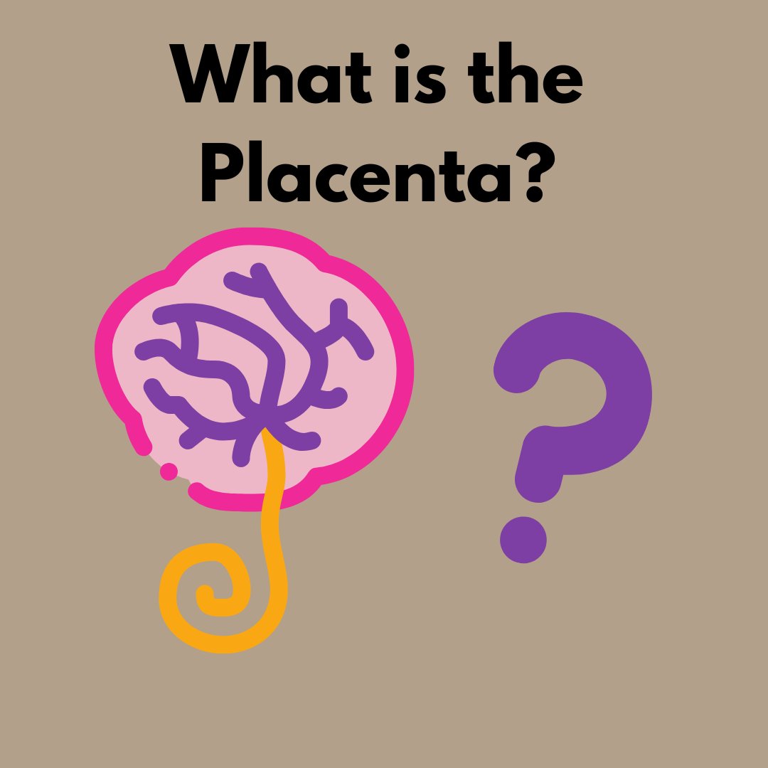 Cells4Life tweet media