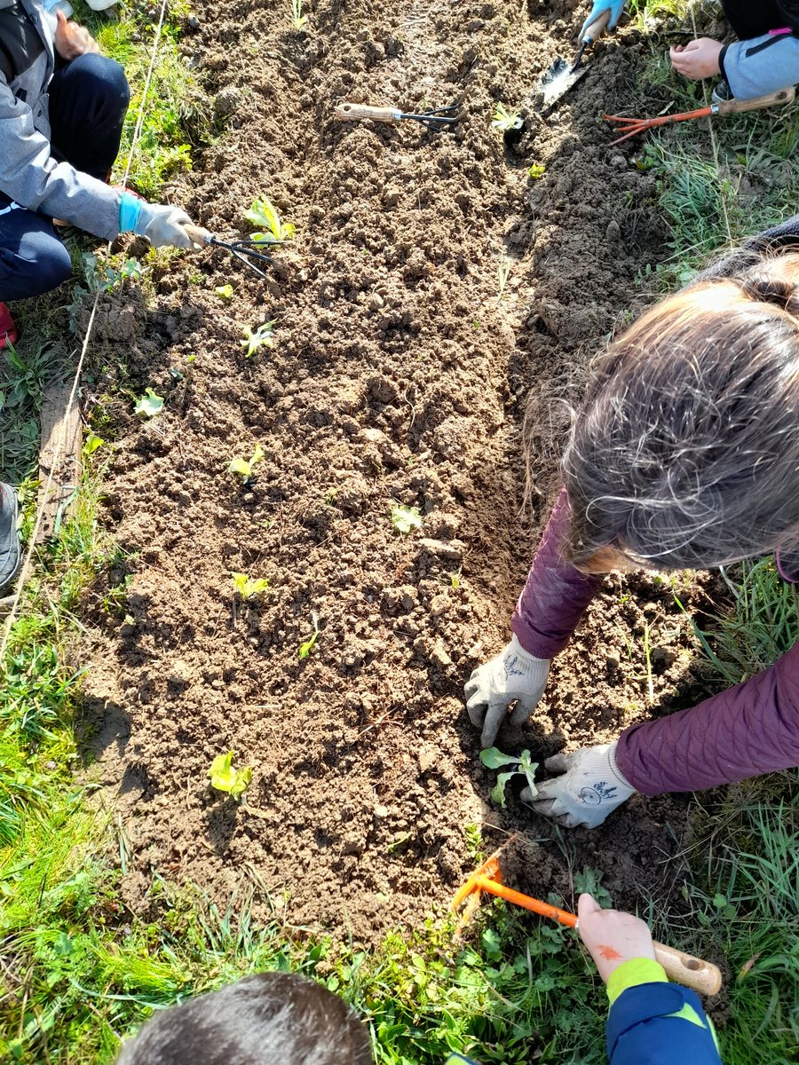 eddlyceesbakerhalimi 🌍♻️🌳🐝🍓🍎🍅🐓 tweet media