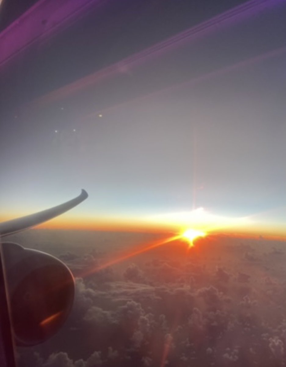 tabitha_taguex's tweet image. 5 tips to get over fears of all things flying! Make sure to check out our website which gets updated weekly with new articles and news stories which interest YOU!#lovetotravel #travellingtips #flyingisfun✈️