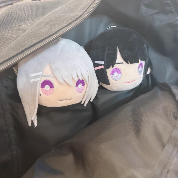 旅行かえみとぬい持ってこ〜!と思ってリュックの内ポケットに入れたら開ける度可愛くてニヤニヤしちゃうな 
