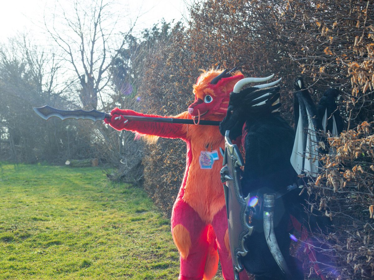 Larvagandor's tweet photo. Yes @HiryuTheDragon this is also a way to hold the fire naginata.
But it's slightly better to hold it on the wrapped part so you have more force and speed during a fight when the blade is on fire.

Happy #FursuitFriday everybody >^.=.^<
📸@ToasterTheFox
⛰️@schwarzwaldcon 6 https://t.co/rt9cM14qUT