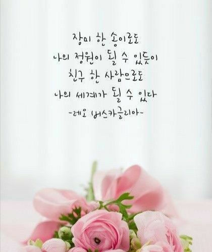 cooki (@choes4002) on Twitter photo 