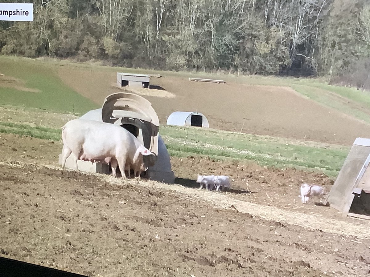 Mr Sharp KWP tweet media