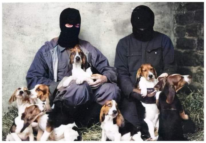 NShuntsabs's tweet photo. On March 17, 1990 Barry and other activists entered Harlan-Interfauna's vivisection labs through holes they punched in the roof, removing 82 beagle puppies and 26 rabbits. They also removed documents listing Interfauna's customers. It was Barry’s Birthday. https://t.co/uWqwOoT2Zp