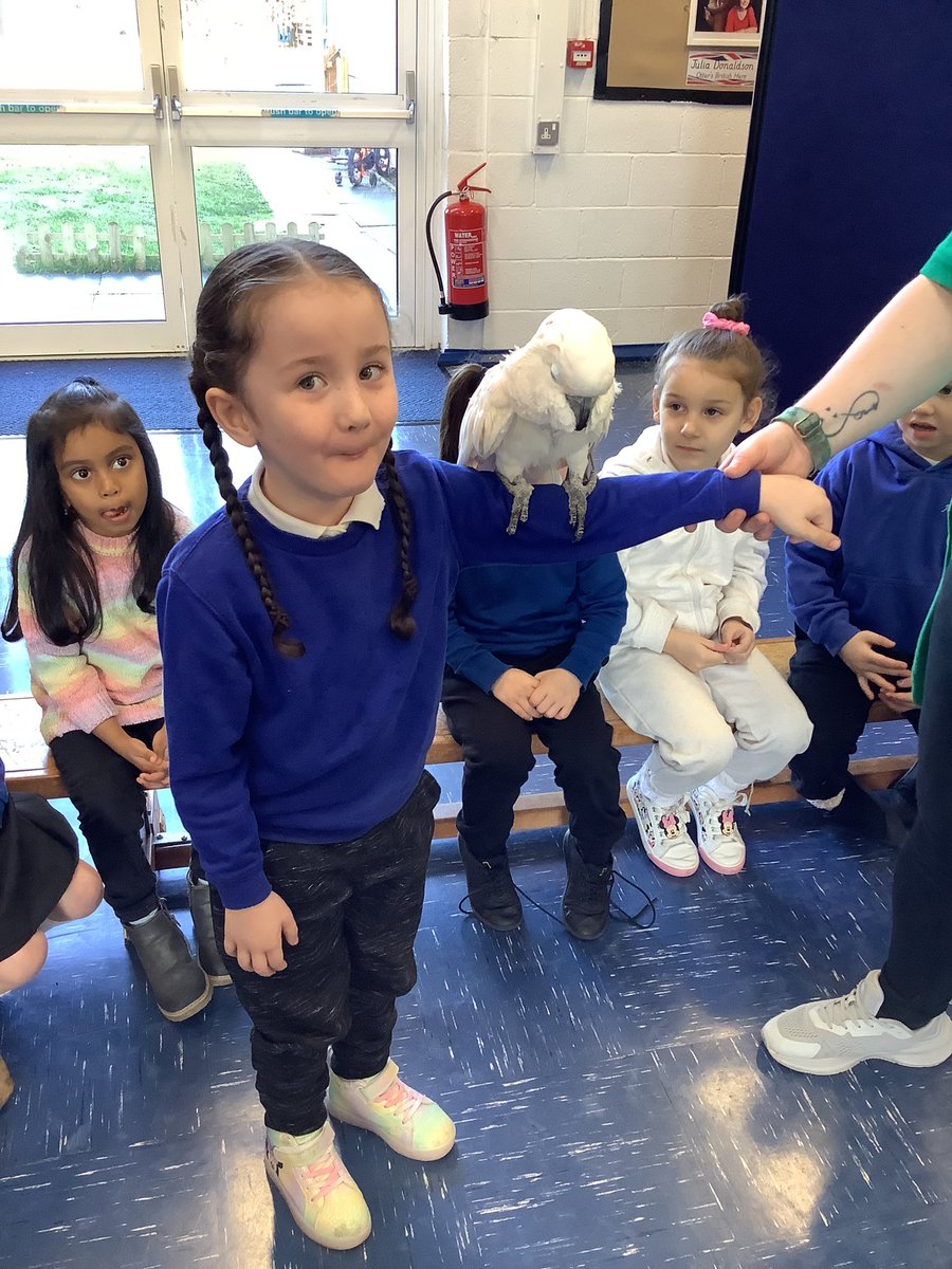 RPS_Otters's tweet photo. What a treat weβve had this morning with βa-z safariβ @Riverside_Pri https://t.co/LwnCdaE4Yq