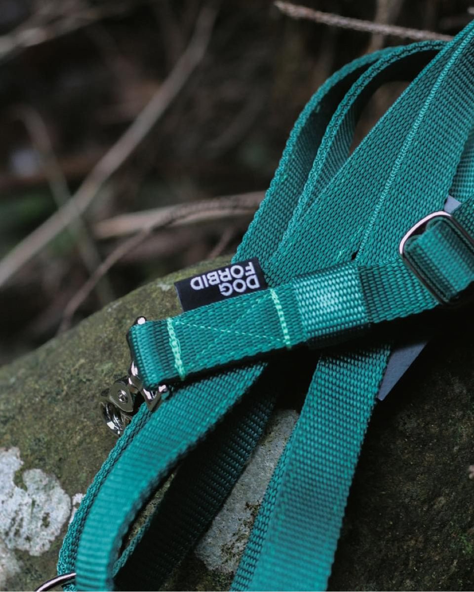 pollard_yard's tweet photo. New to the yard are Dog Forbid, a dog-wear and accessories company who make beautiful collars, leads and outfits for pups. Head over to their website for a look around: https://t.co/Z9SovAYjUP
#dogforbid #dogcollars #dogleads #dogclothing #pollardyard #ancoats #manchester https://t.co/TTl94pQVgC