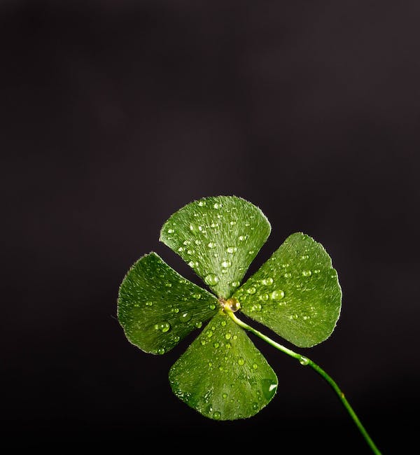 A very Happy St Patrick's Day to all our followers!