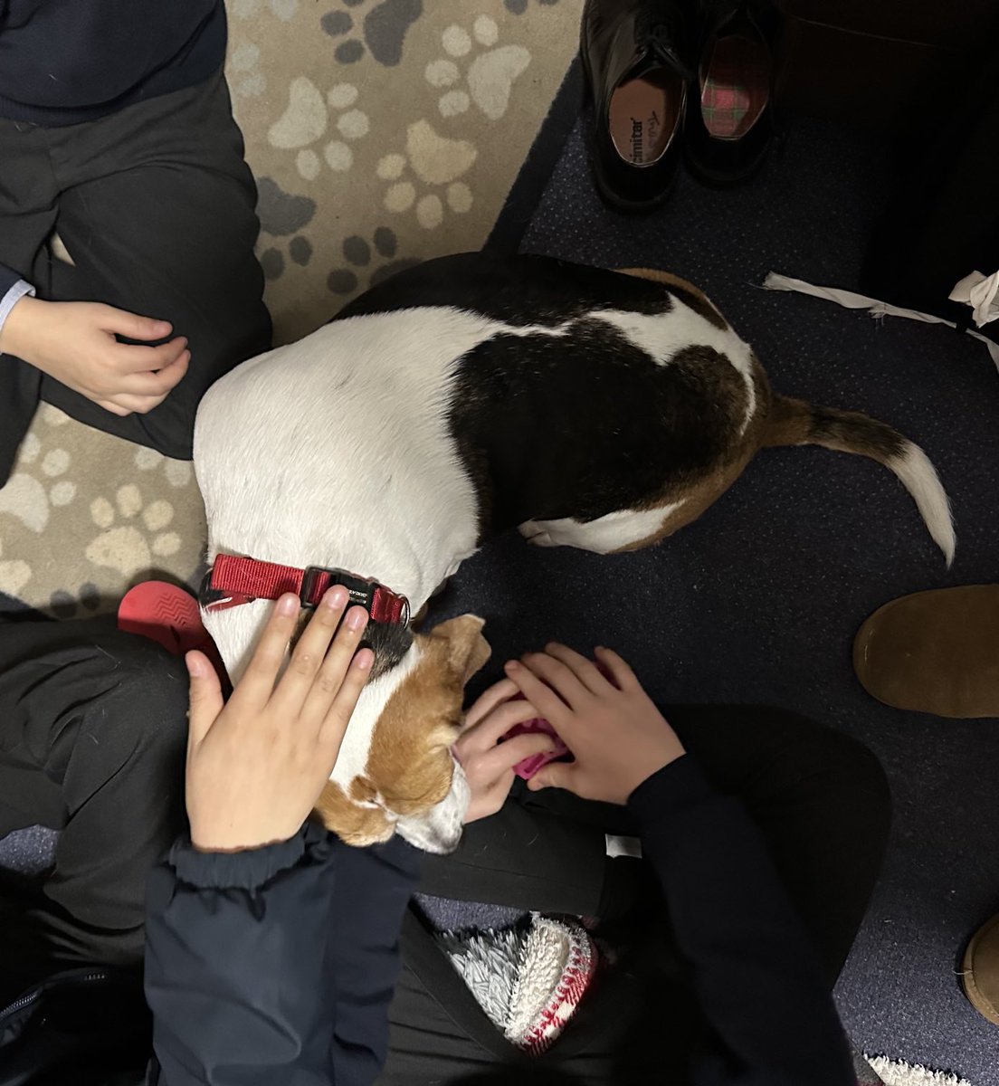 ⁦<a href="/BlakeHouseRHS/">Blake House RHS</a>⁩ ⁦<a href="/RHSSuffolk/">Royal Hospital School</a>⁩  Molly gets her day off to a good start as the boys tend to hers and their own well-being for Feel-Good-Friday! We’re in for a good day, today!