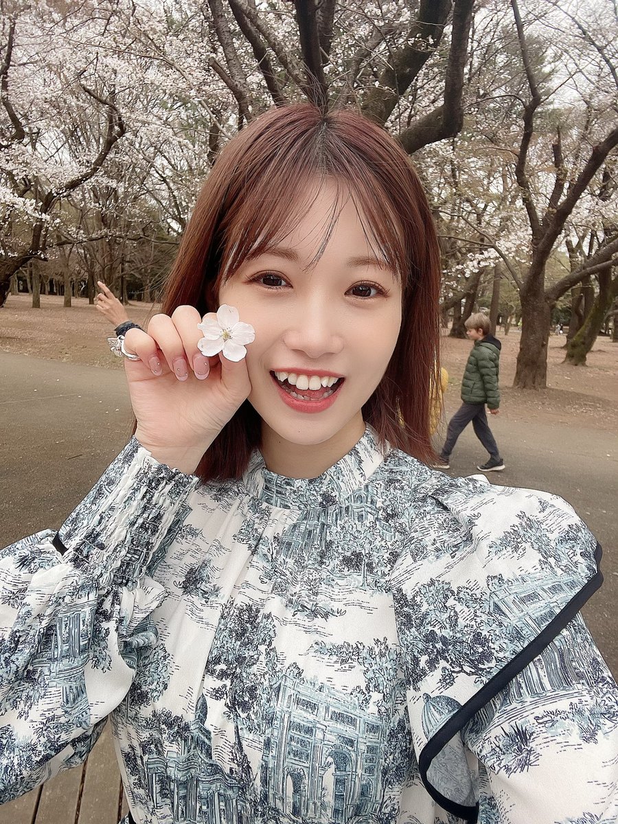 新品★未使用品★HKT48★朝長美桜★推しメン早い者勝ち★早推し認定書★ Amazon.co.jp HKT48☆朝長美桜☆推しメン ち☆早推し認定書