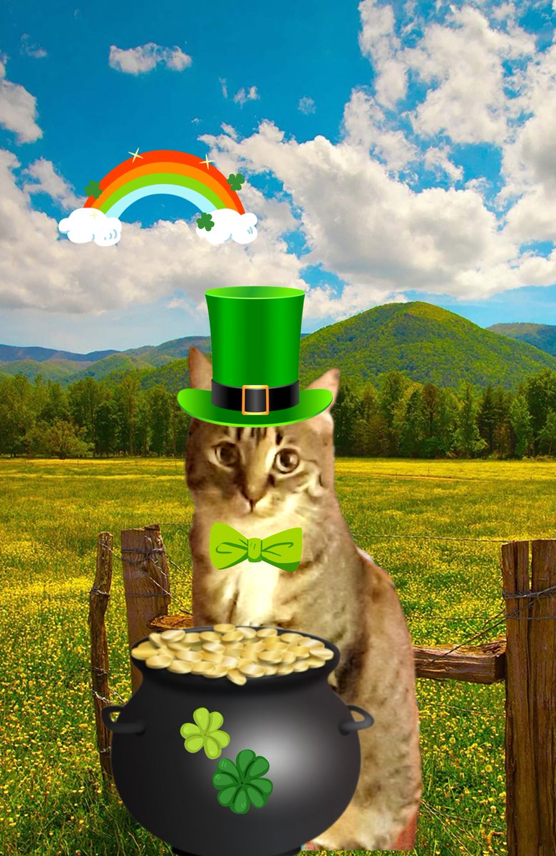 Top of da mornin to ya Pals.  Wishing yoo a fun and happy #StPatricksDay2023 .  
☘💚😺☘💚😺

#CatsOfTwitter #fridaymorning
#FridayVibes