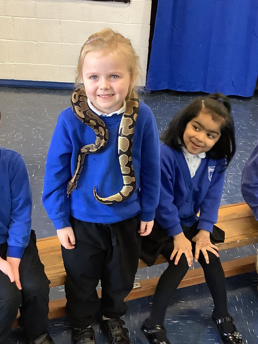 RPS_Otters's tweet photo. A-a safari continued β¦β¦ @Riverside_Pri https://t.co/IYy3KmEKd8