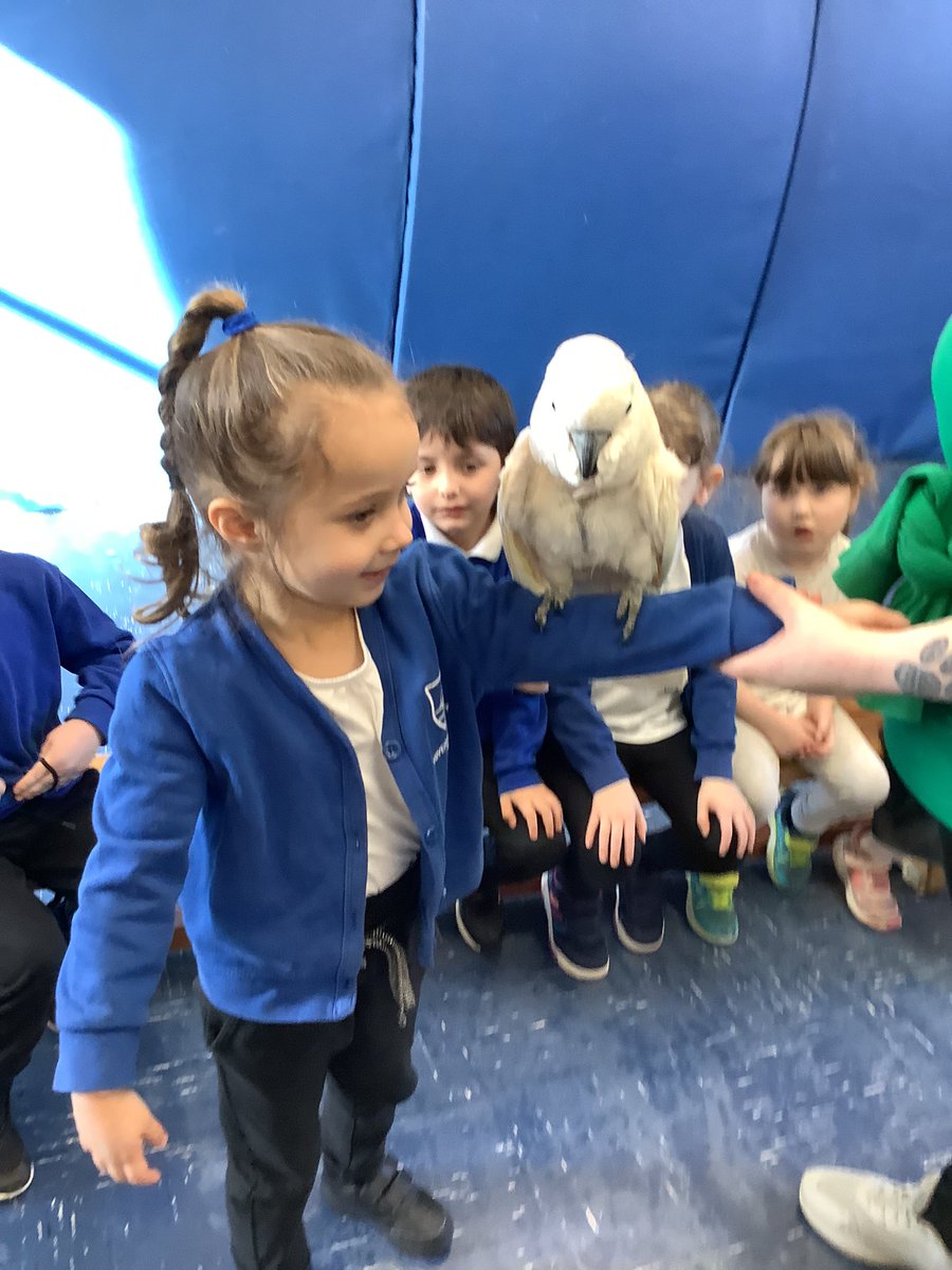 RPS_Otters's tweet photo. A-a safari continued β¦β¦ @Riverside_Pri https://t.co/IYy3KmEKd8
