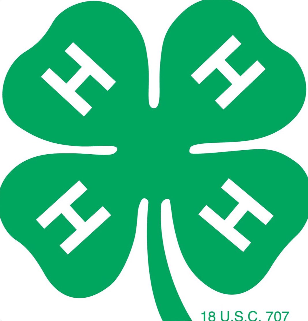 JaiTempleton's tweet photo. Happy St Patrick’s Day https://t.co/JX4lPpU3T9