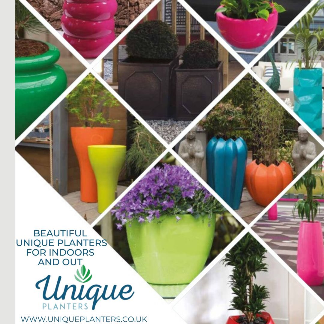 UniquePlanters's tweet photo. Choose from a wide range of styles and limitless colours, as well as offering a bespoke and personalised choice to fit to your requirements 

https://t.co/n6XVdX6IzM

#planters #interiorplanters #exteriorlanters #allcolours #allbudgets
#plantersforrestaurants #outdoorplanters https://t.co/5Z157Lq7vW