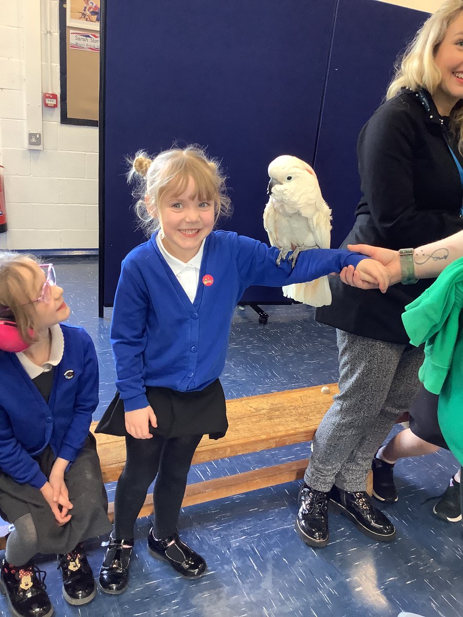 Riverside Conkers (@rps_conkers) on Twitter photo 