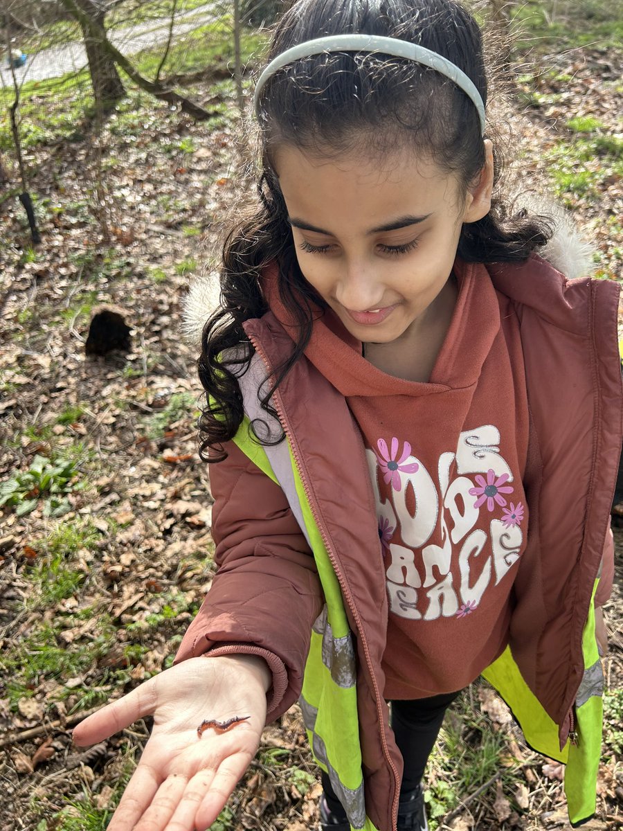 APSMissKR's tweet photo. Some of the creepy crawlies we found this morning on the farm! @AndertonPark @LEAFEd_WM https://t.co/0t4KpYZS6W