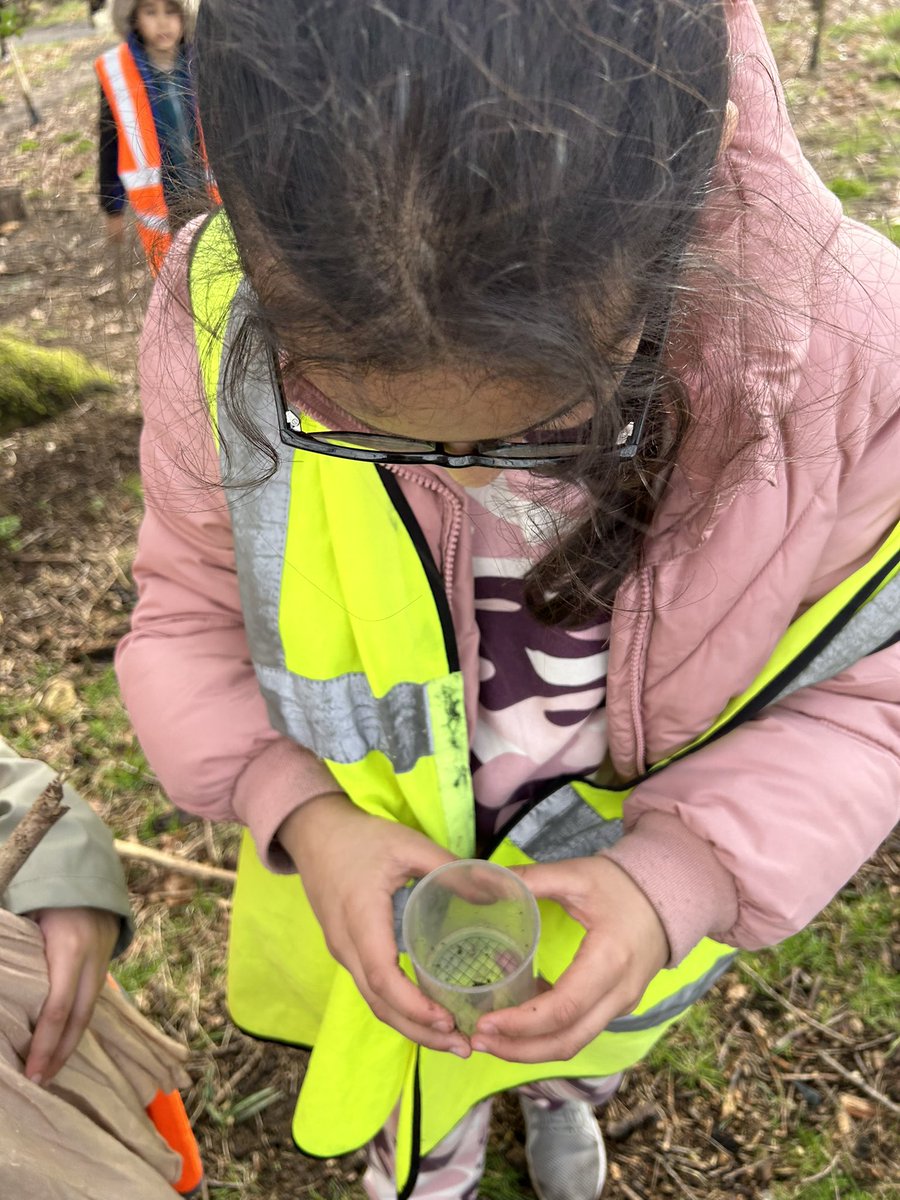 APSMissKR's tweet photo. Some of the creepy crawlies we found this morning on the farm! @AndertonPark @LEAFEd_WM https://t.co/0t4KpYZS6W