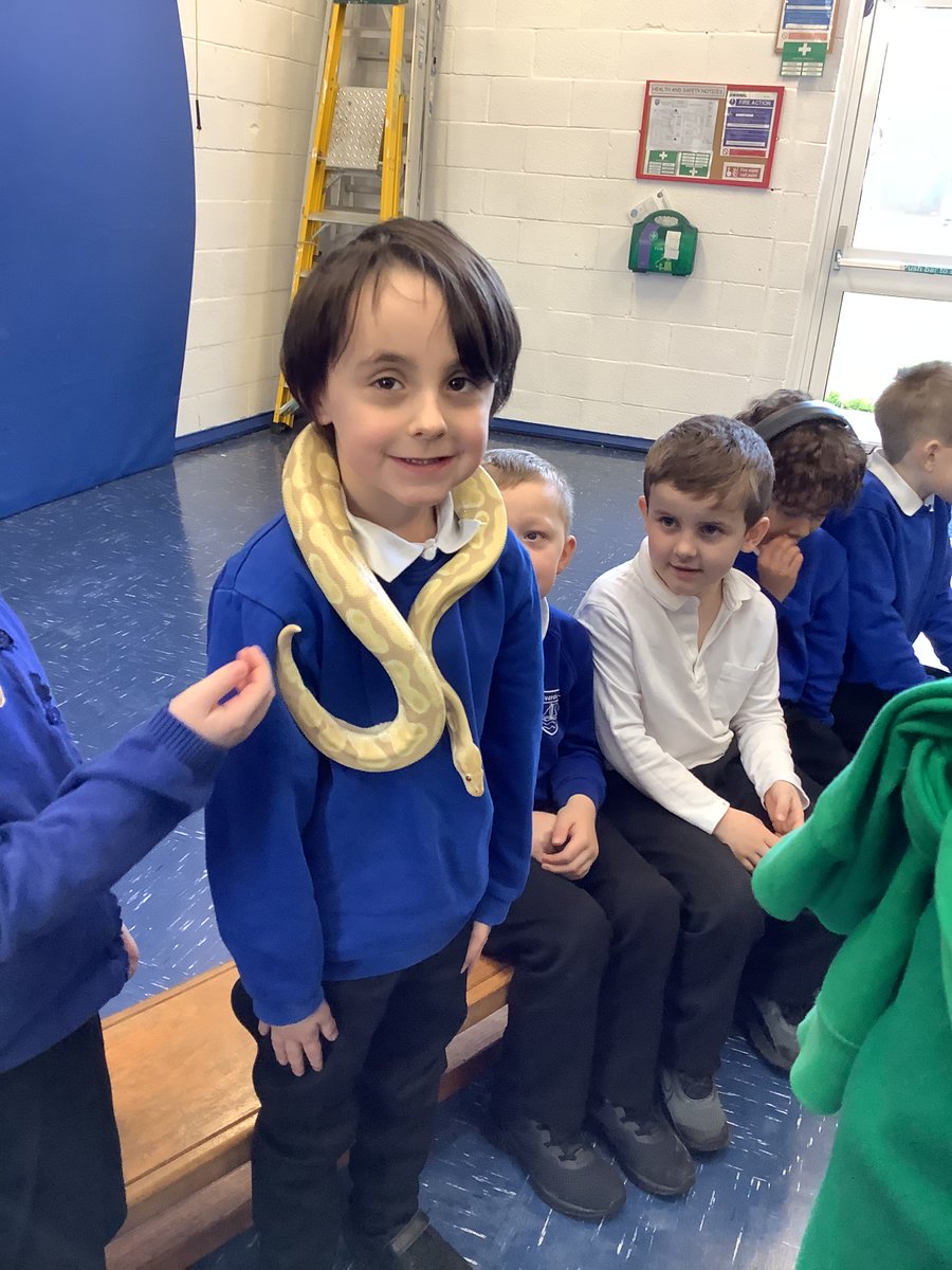 Riverside Conkers (@rps_conkers) on Twitter photo 