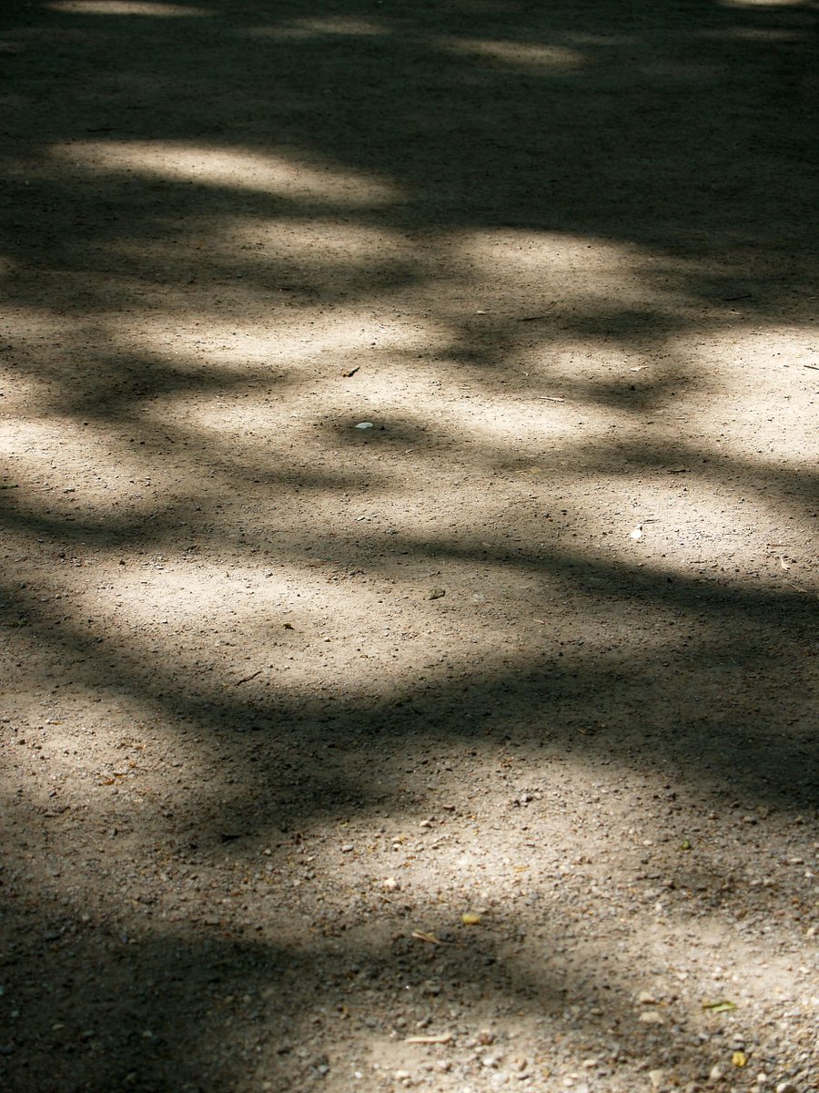 cmi_design's tweet image. Clients come to us with #creative #inspiration for their new #custom #floor #coverings. Our mission is to elevate these #ideas to achieve their ultimate #vision or to go beyond what they asked for. Read more in our latest Spotlight creativemattersinc.com/expertise/what…

#blog #rugdesign #rugs