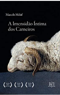 marcosmorelli's tweet photo. o #livro #AImensidaoIntimadosCarneiros do @marcelomaluf é lindamente escrito e com passagens memoráveis. Um mergulho! https://t.co/wUasJtFk0d