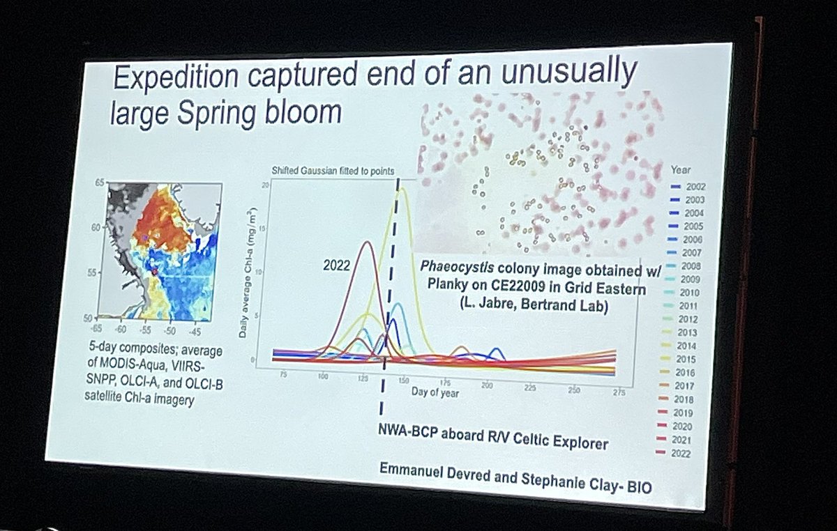 Planky helping us understand the biological carbon pump in the Northwest Atlantic. Presentation by Scott Pollara showing some Phaeocystis cells we saw while onboard #RVCelticExplorer in spring 2022.

#planktoscope #nwabcp 
<a href="/ThibautPollina/">Thibaut Pollina</a> <a href="/planktonico/">Adam Larson</a> @rbazilou <a href="/PrakashLab/">PrakashLab</a>