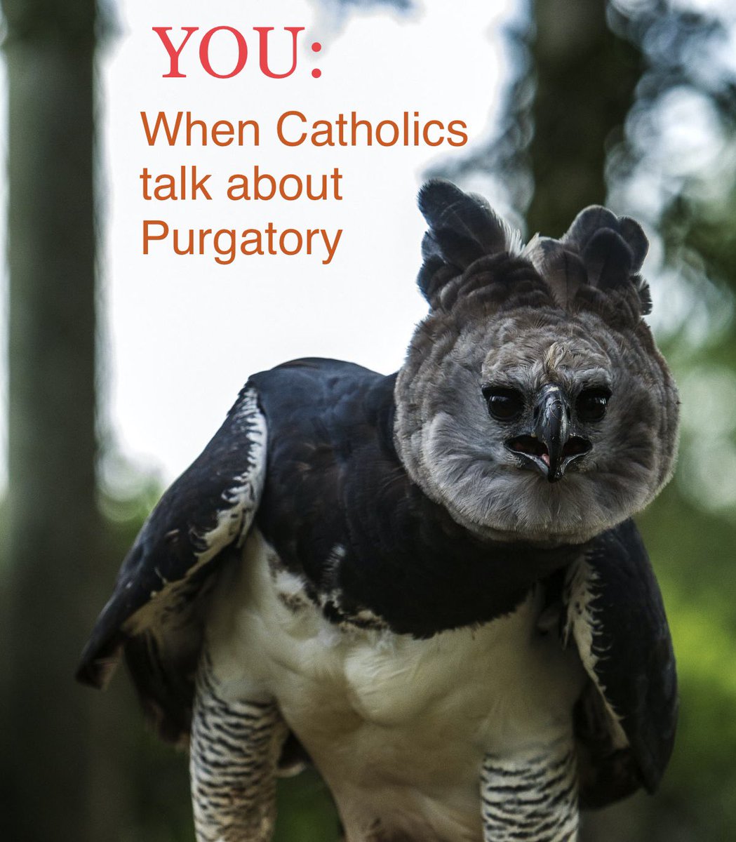 KJVliteracy's tweet photo. #Catholicerror #Catholicheresy https://t.co/vXnWh2bsf2