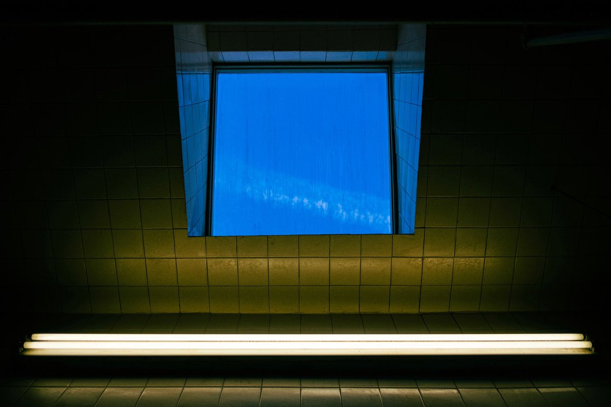 Rob Yaskovic tweet media