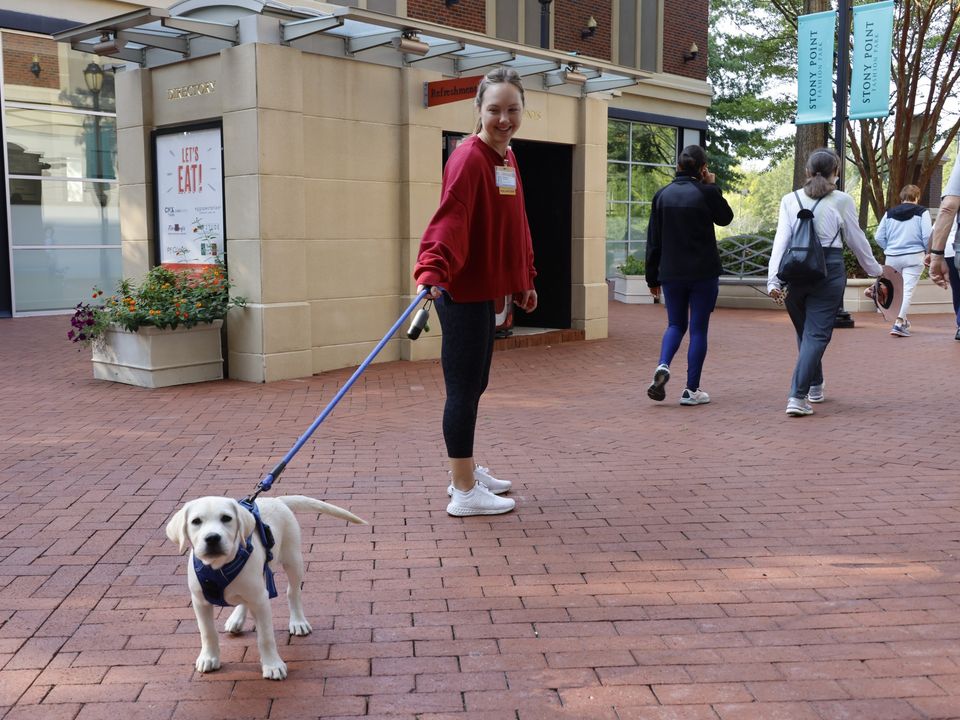 VCUMassey's tweet image. 👣 Join us tomorrow morning at 830 at the RAMble at Stony Point Fashion Park. 👣  

Meet at the dog park entrance. 🐶 bit.ly/3BLh4CU

Hear from a VCU Health provider, stretch, breath and walk with friendly faces, too. The RAMble is a great morning perk! 😍