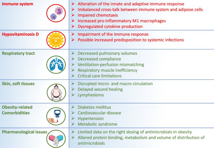 drtimothyli's tweet photo. How obesity ⬆️ susceptibility / severity of infections

https://t.co/SPN4TvO8A7 https://t.co/LU4cetruIE
