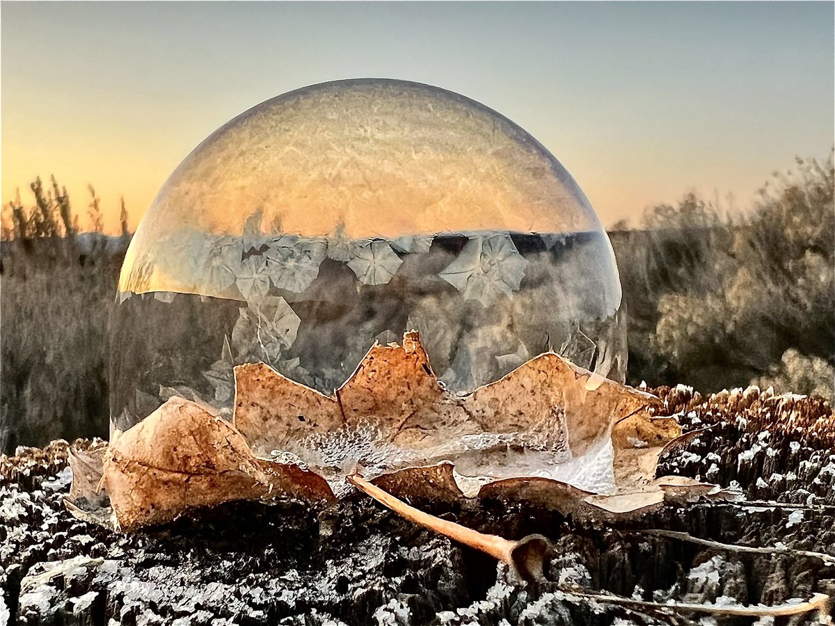 rikyd_smith's tweet photo. #frozenbubbles #barbedwire #weather @natwxdesk @weatherchannel @WeatherNation https://t.co/72RyRSv8FT