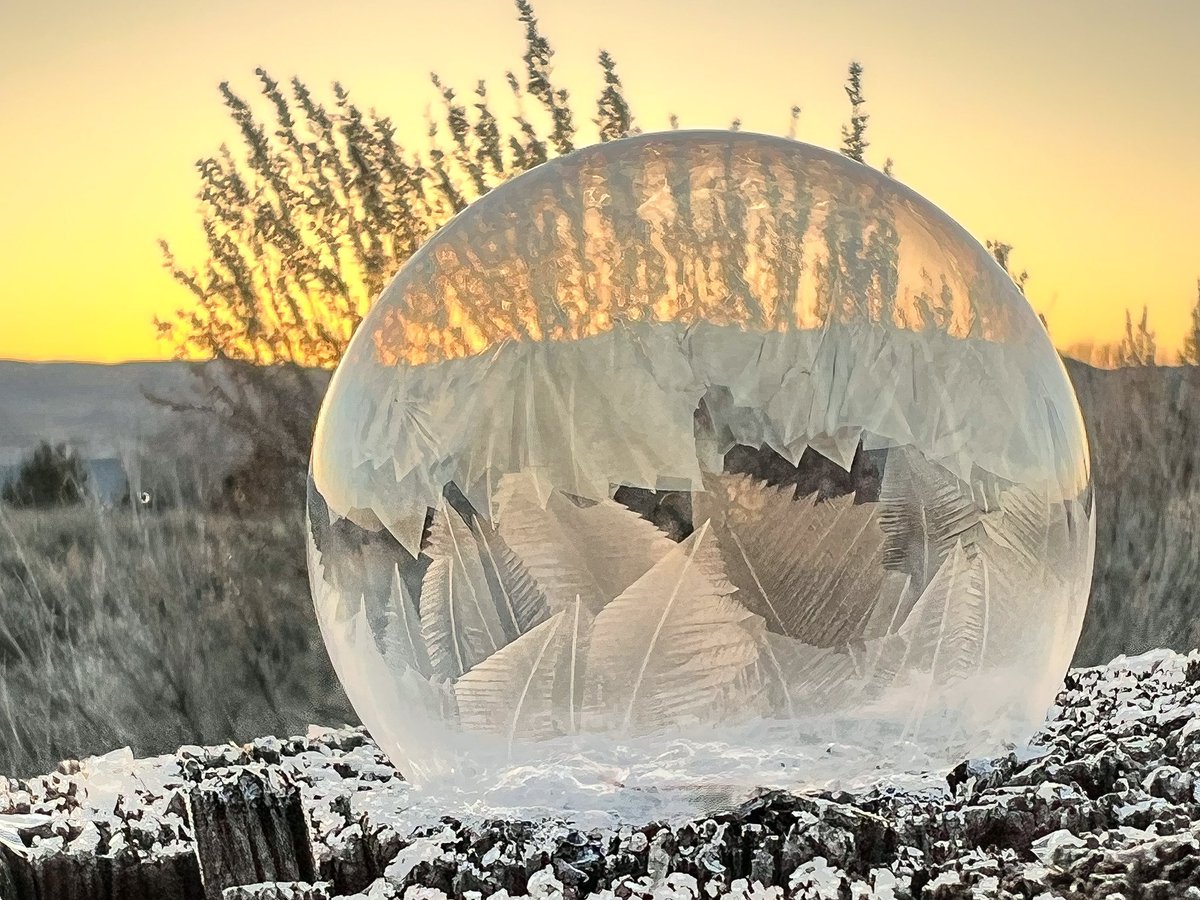 rikyd_smith's tweet photo. #frozenbubbles #barbedwire #weather @natwxdesk @weatherchannel @WeatherNation https://t.co/72RyRSv8FT