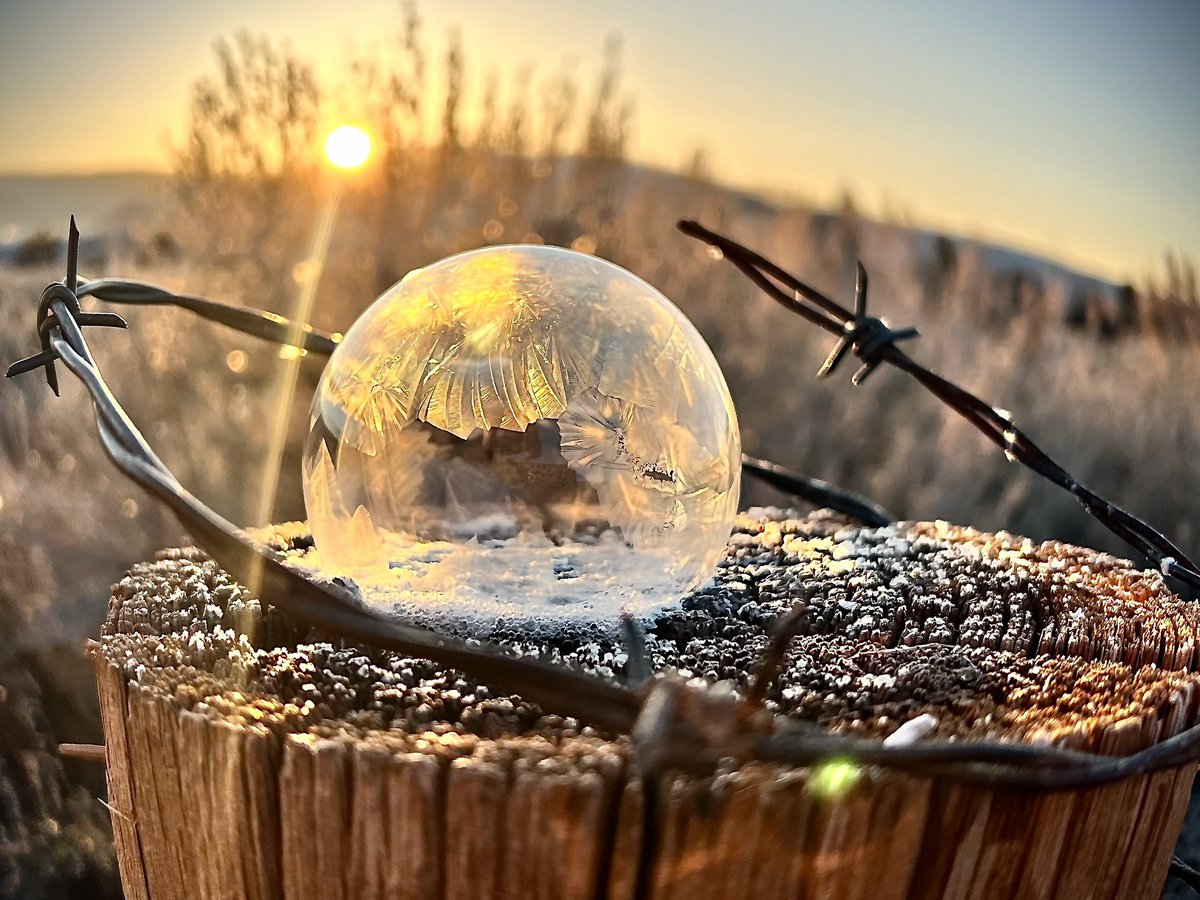rikyd_smith's tweet photo. #frozenbubbles #barbedwire #weather @natwxdesk @weatherchannel @WeatherNation https://t.co/72RyRSv8FT