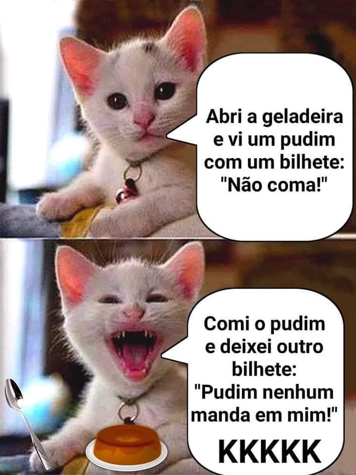 sergitosilva16's tweet image. #esperto #poder