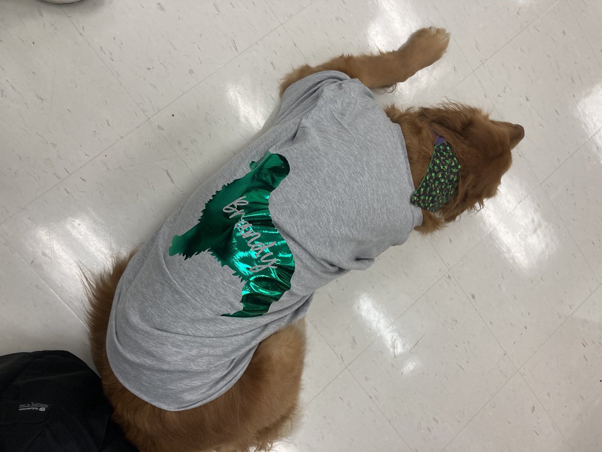 Diane Keuth tweet media