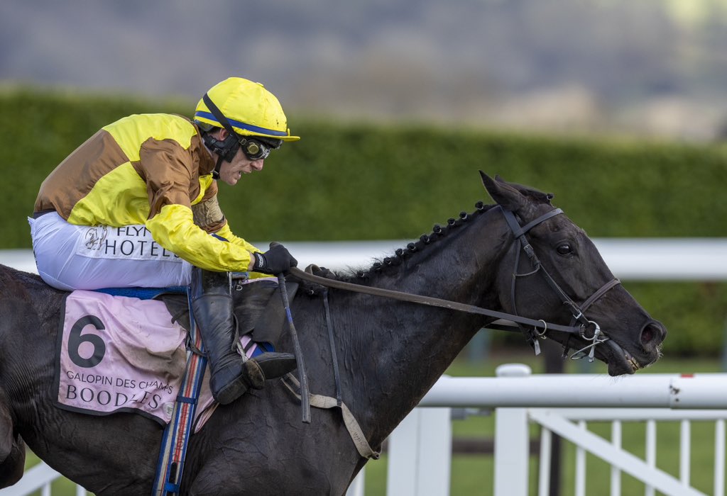 ITM on Twitter "Gold Cup Glory 🏆 Third G1 on the spin for WillieMullinsNH as Galopin Des