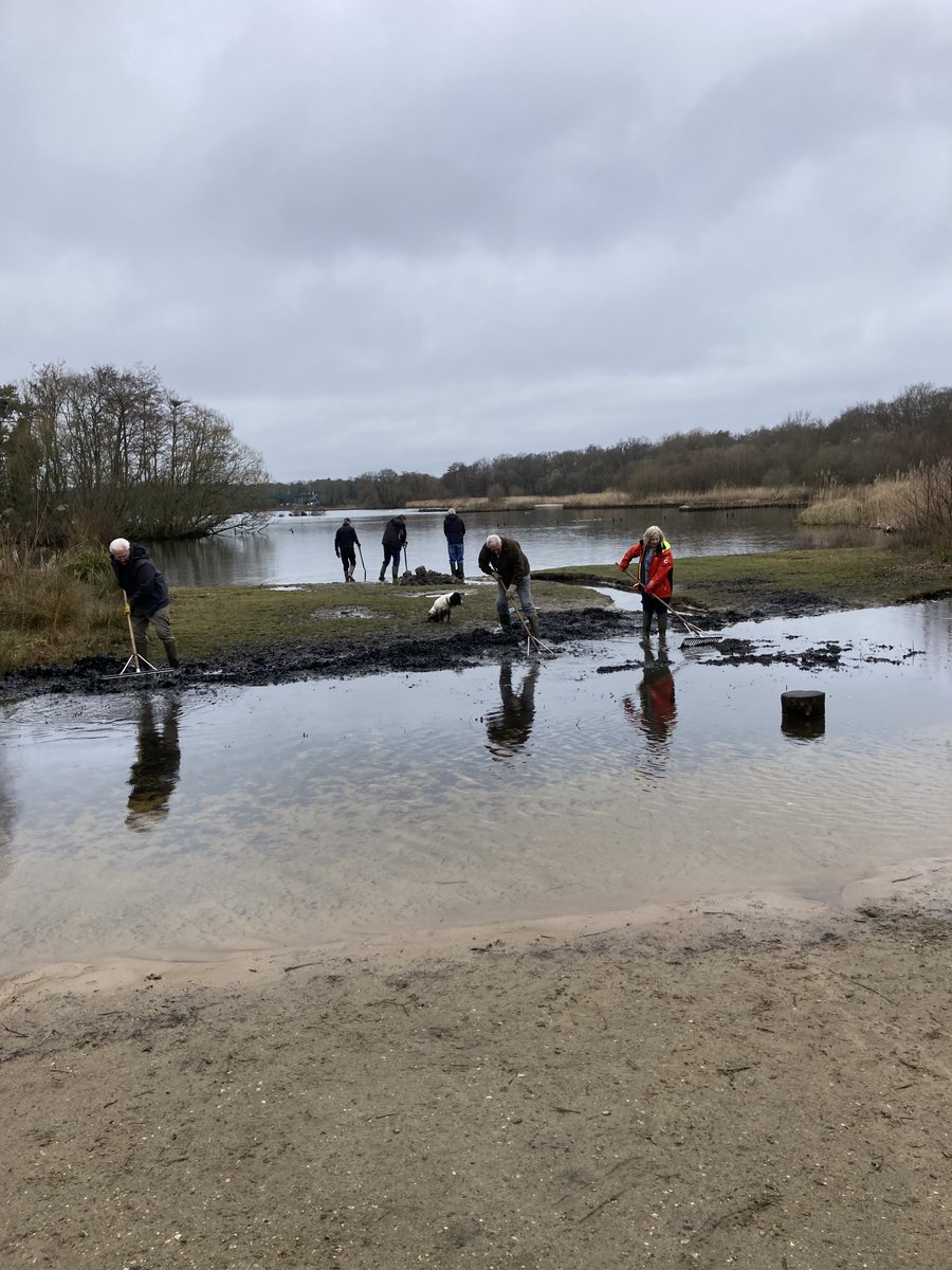FleetPondSoc's tweet photo. Volunteers were hard at work at Sandy Bay this morning. Working alongside the Rangers, who drove the tractor, they filled in the channel which had been mysteriously cut into the island.
It was a really muddy job - especially as it decided to rain.
#hartgreenspaces https://t.co/kq5o6Yzw3h