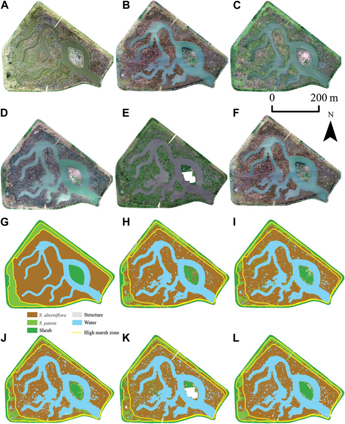 Interested in using #drones to study marsh migration? Check out our new paper published in @FrontRSens: doi.org/10.3389/frsen.…. We applied #machinelearning techniques to differentiate & monitor Spartina veg over time at Poplar Island, a wetland restoration site in Chesapeake Bay