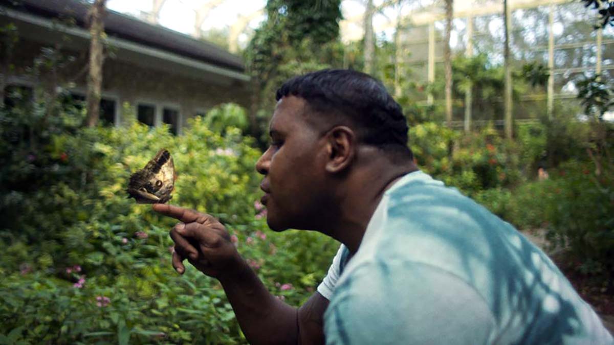 ‘Caterpillar’ Review: Liza Mandelup’s Engaging New Doc Opens Our Eyes To The Endless Struggle To Be Seen [SXSW] dlvr.it/Sl3Q8n