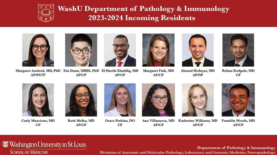 washupathedu's tweet photo. We're so excited to welcome new trainees to @wusm_pathology! Happy Match Day 2023!!  #Match2023 #washupathedu #MatchDay #PathMatch2023 #PathTwitter #wusmpathimm https://t.co/iee3capPqt