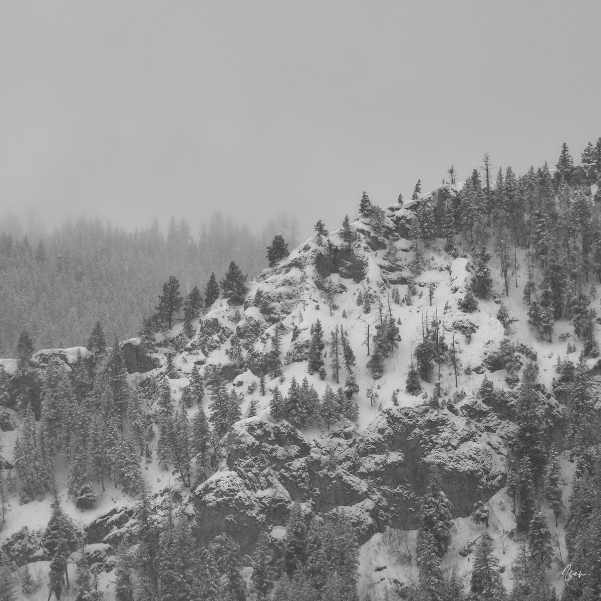 isensno's tweet photo. St. Patty's Day 2018 - A wee bit o' snow  #bnwphotography #blackandwhitephotography #winterphotography #StPatricksDay2023 https://t.co/bewMISDzsR