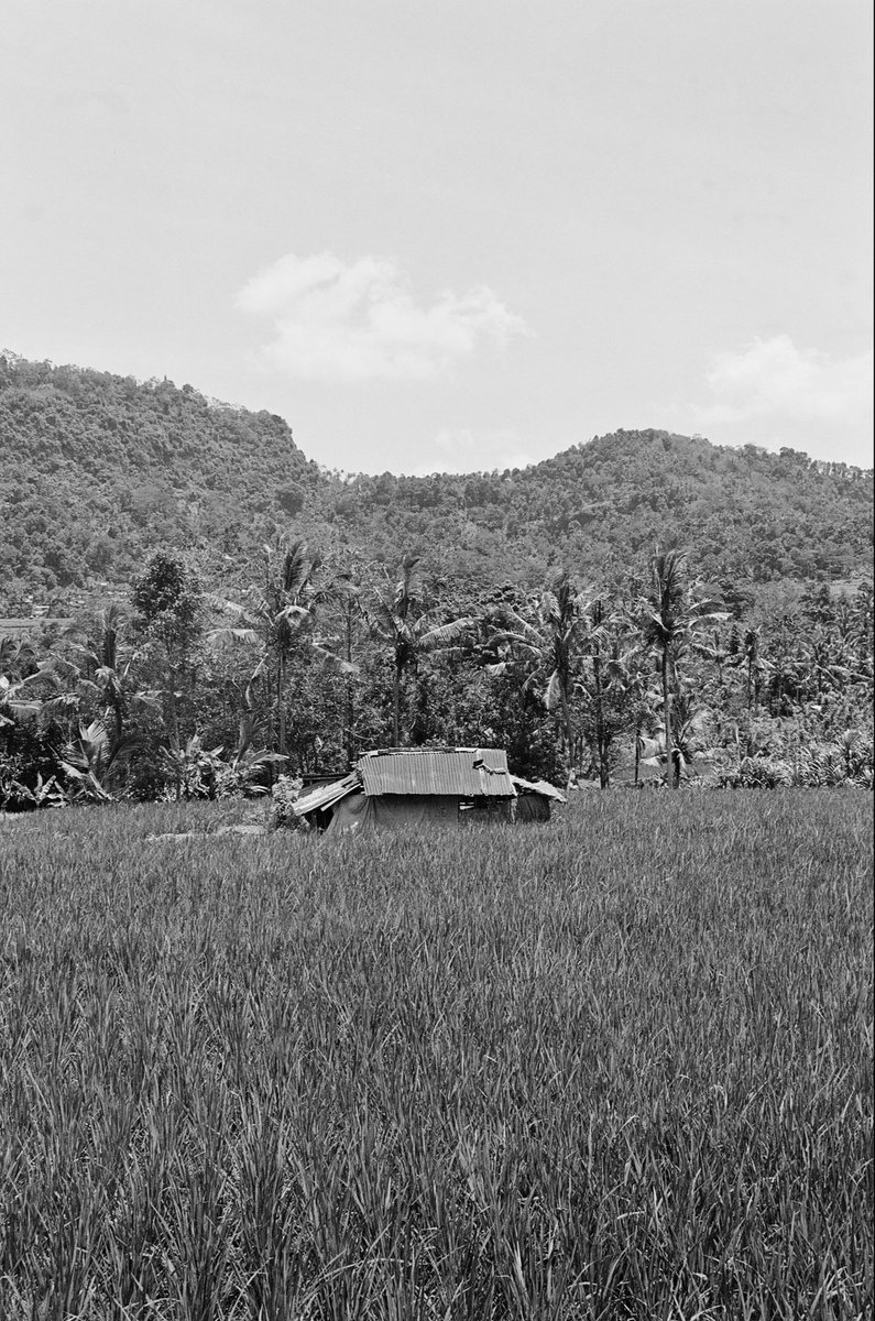 will hunt tweet media