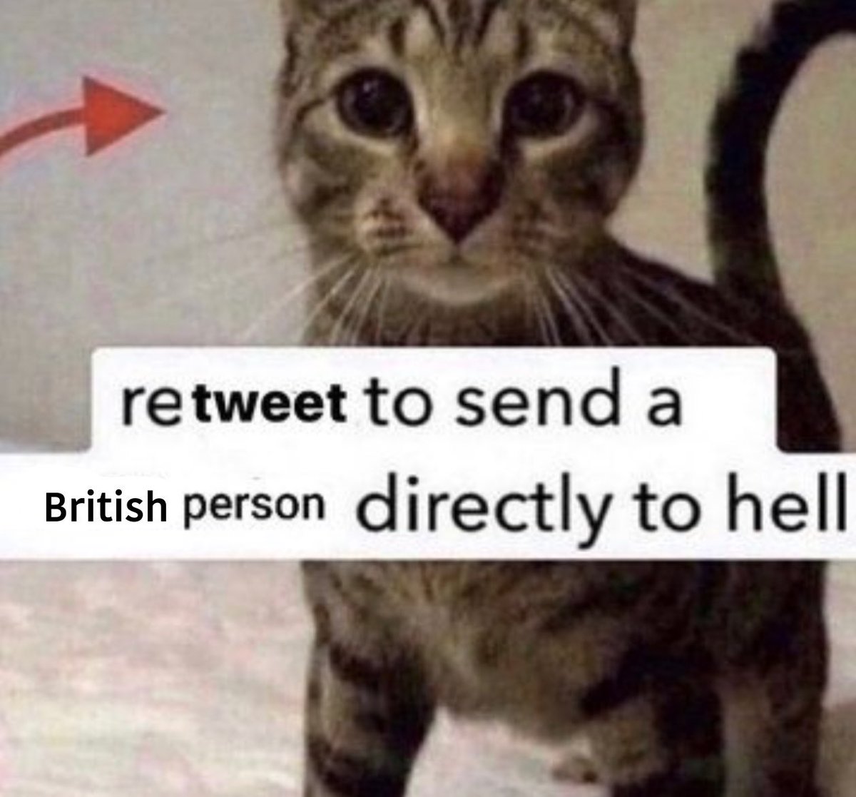 the cumpound (@thecumpound) on Twitter photo 