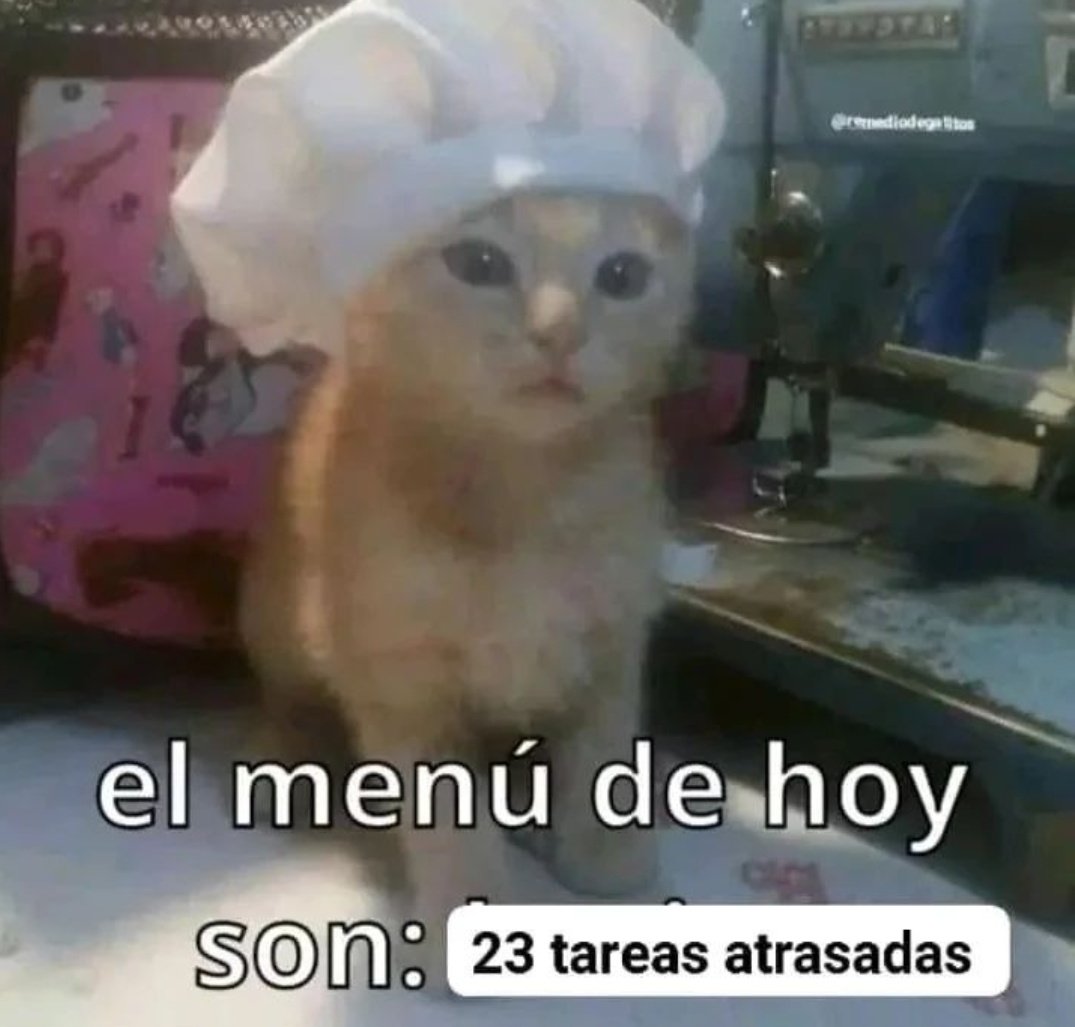 piña sin pizza (@skereunpesado) on Twitter photo 