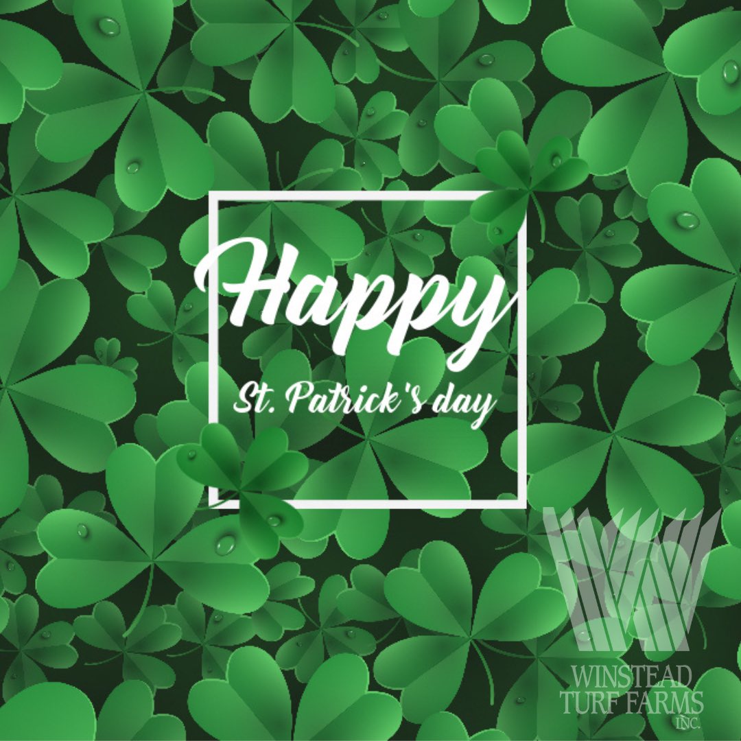 WinsteadMatrix's tweet photo. Green sports turf for everyone. Happy St. Patrick’s Day from Winstead Turf Matrix. ☘️☘️☘️☘️ @winsteadturf #stpaddysday #ReadyToPlayTurf https://t.co/EpbcLflviP