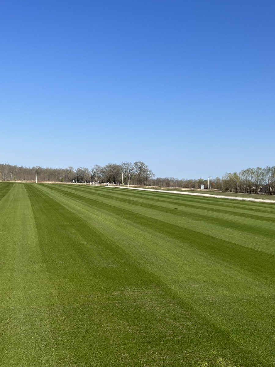 WinsteadMatrix's tweet photo. Green sports turf for everyone. Happy St. Patrick’s Day from Winstead Turf Matrix. ☘️☘️☘️☘️ @winsteadturf #stpaddysday #ReadyToPlayTurf https://t.co/EpbcLflviP