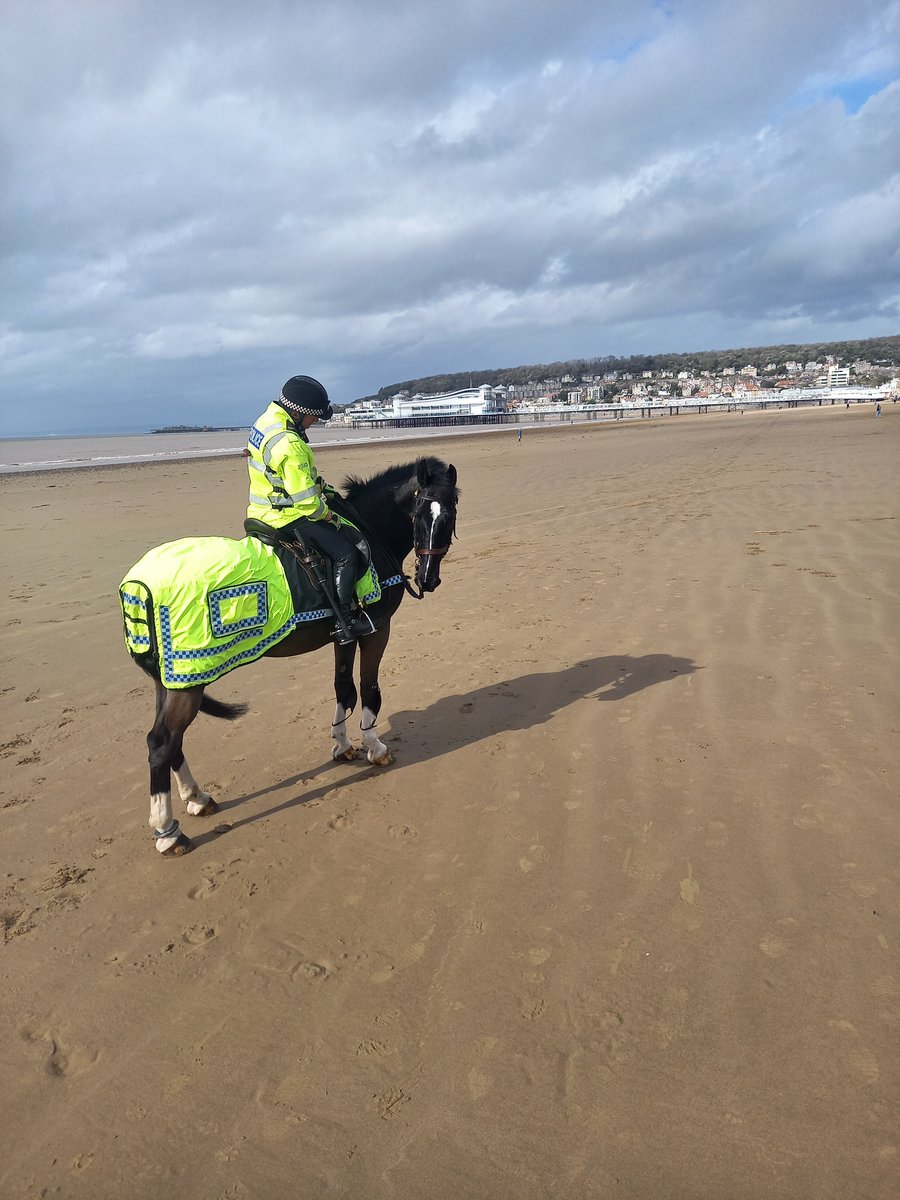 Windsor and Oscar have been on targeted patrols in Weston-super-Mare to locate a wanted male 🐴 Windsor is looking in all directions 🔎 #communitypatrols
