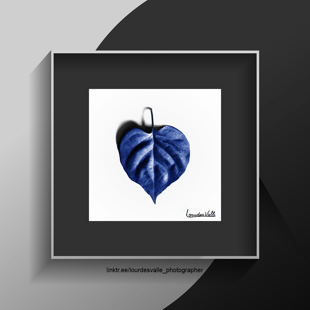 loulouvalle's tweet photo. .
Comece a sua própria galeria de arte! ◼
.
#sextabasicacomarte #sendmeamessage
.
#artforyourhome #artforyourwalls #artinmyhome #artmywall #artonpaper #artworkonpaper #buyart #collectart #collecteurs #galleryroom #homegallery #ownart #startyourartcollection #youngcollectors https://t.co/LY0akKiEdu