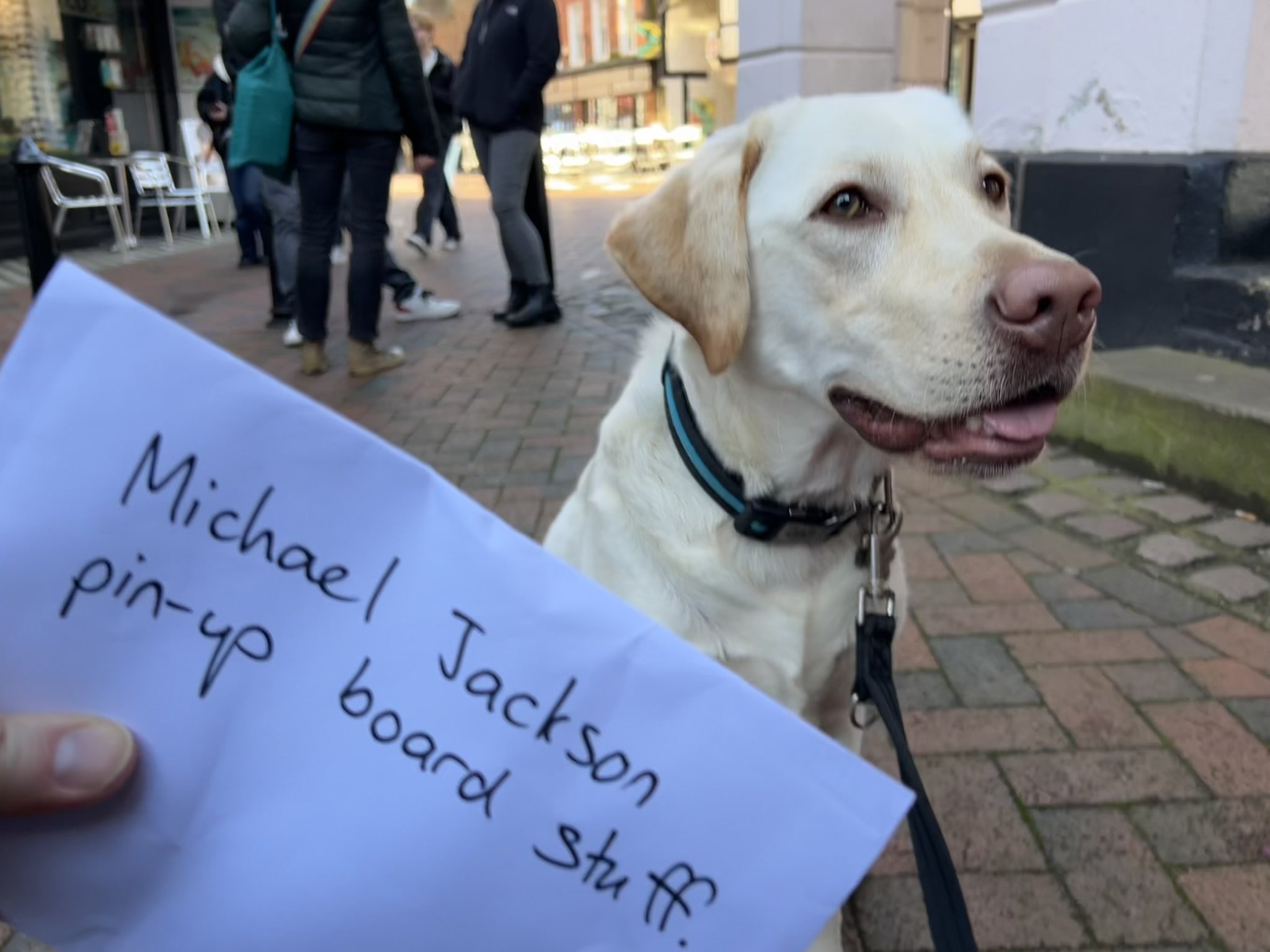 Why Do Dogs Walk Weird When You Put Shoes On Them